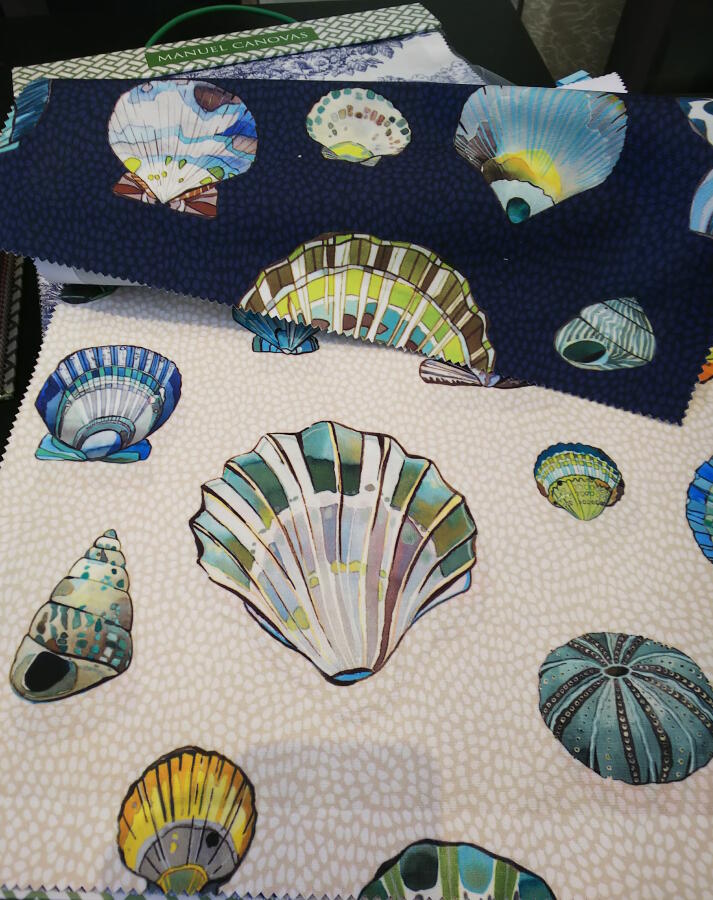 sea shells