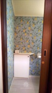ワクワクするトイレのインテリア