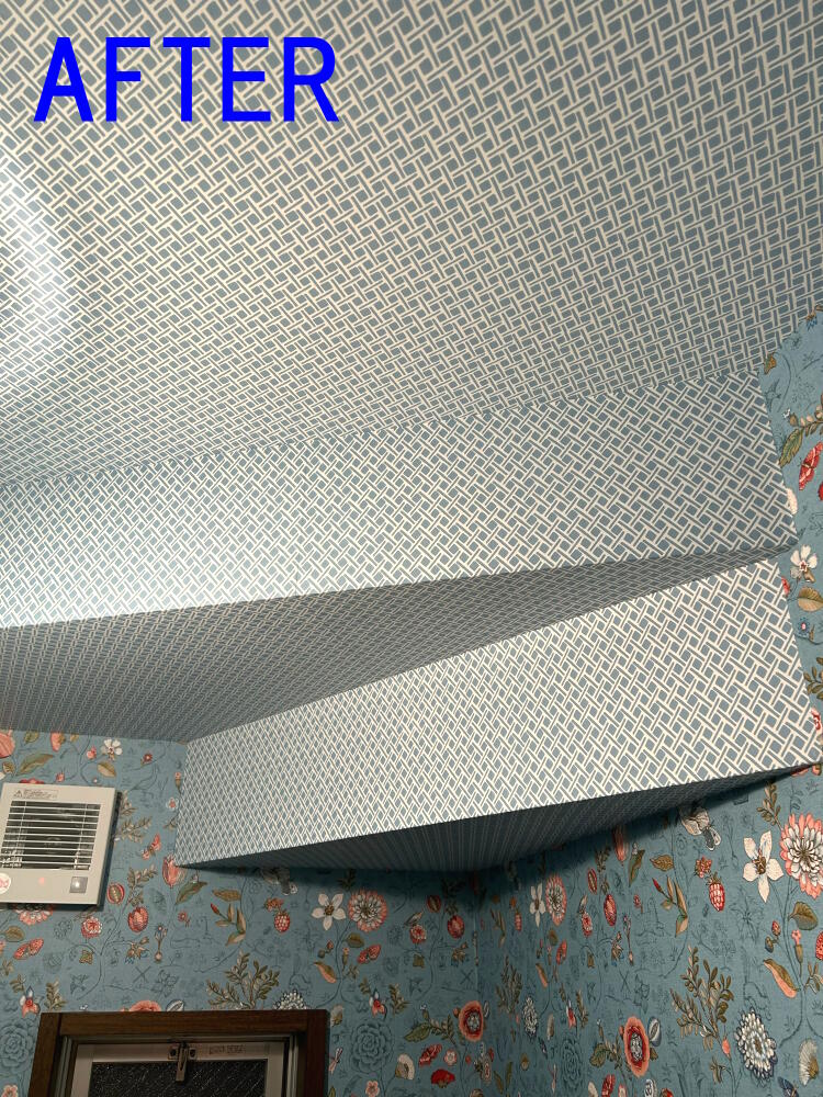 ceiling toilet